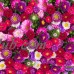 Aster - Powderpuff Flower Seed Mixture - 1 Oz: Approx 1200 Seeds - Annual Blooms Gardening Seeds - Callistephus chinensis   566896545